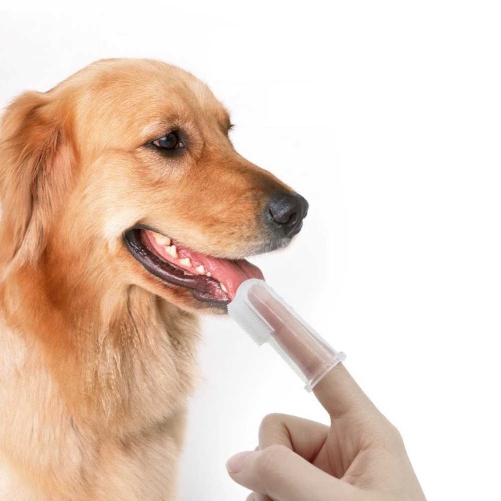 Tools & Workshop Equipment - Super Soft Pet Finger Toothbrush Teddy